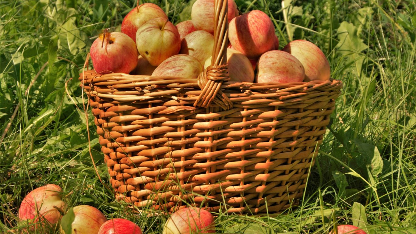 a basket of potatoes
