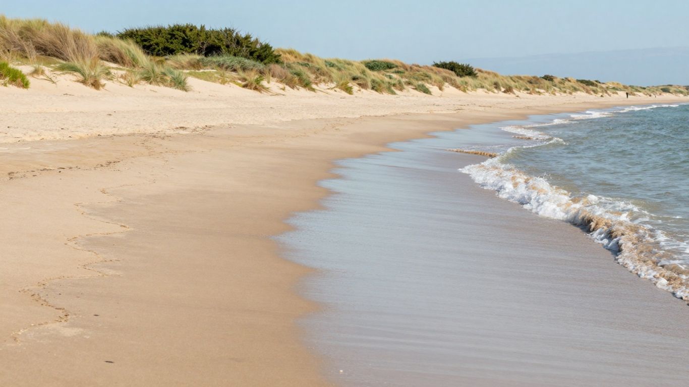 Zonnig strand met duinen en golven bij Rockanje