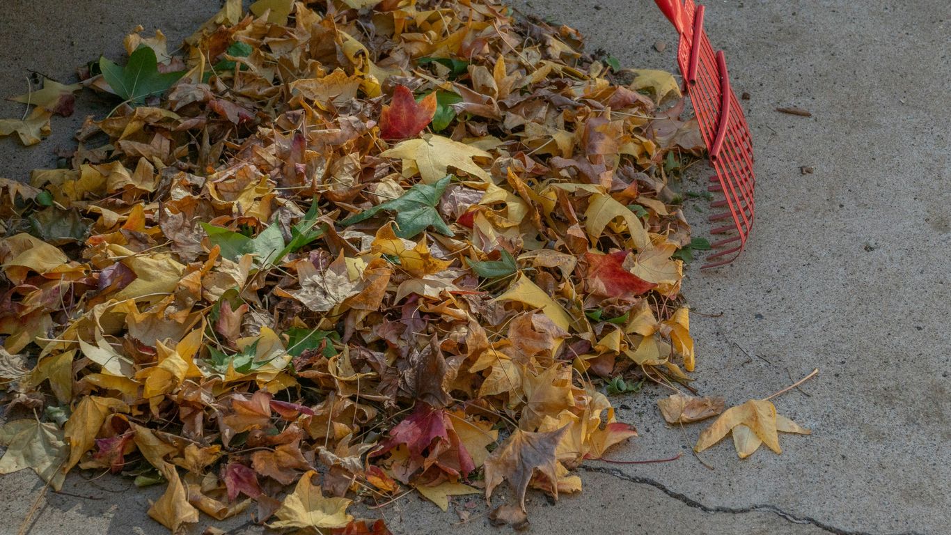 a pile of leaves sitting on top of a sidewalk