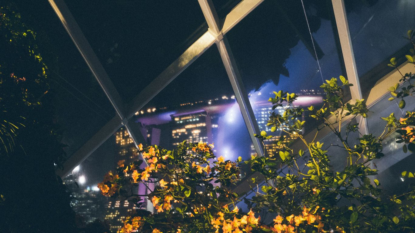 A view of a city at night from inside a building