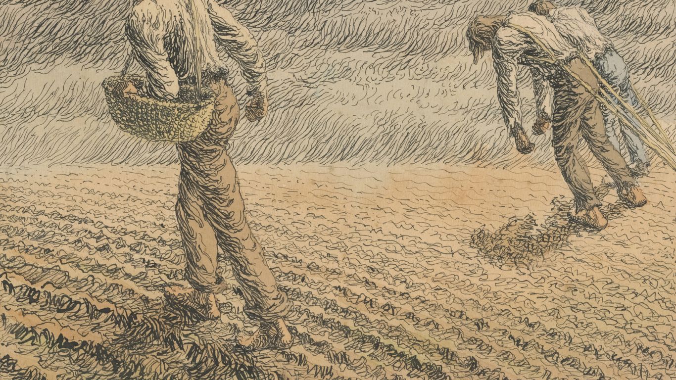 farmer tending to crops in a field