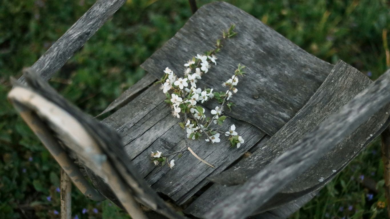 white flowers on brown wooden table
