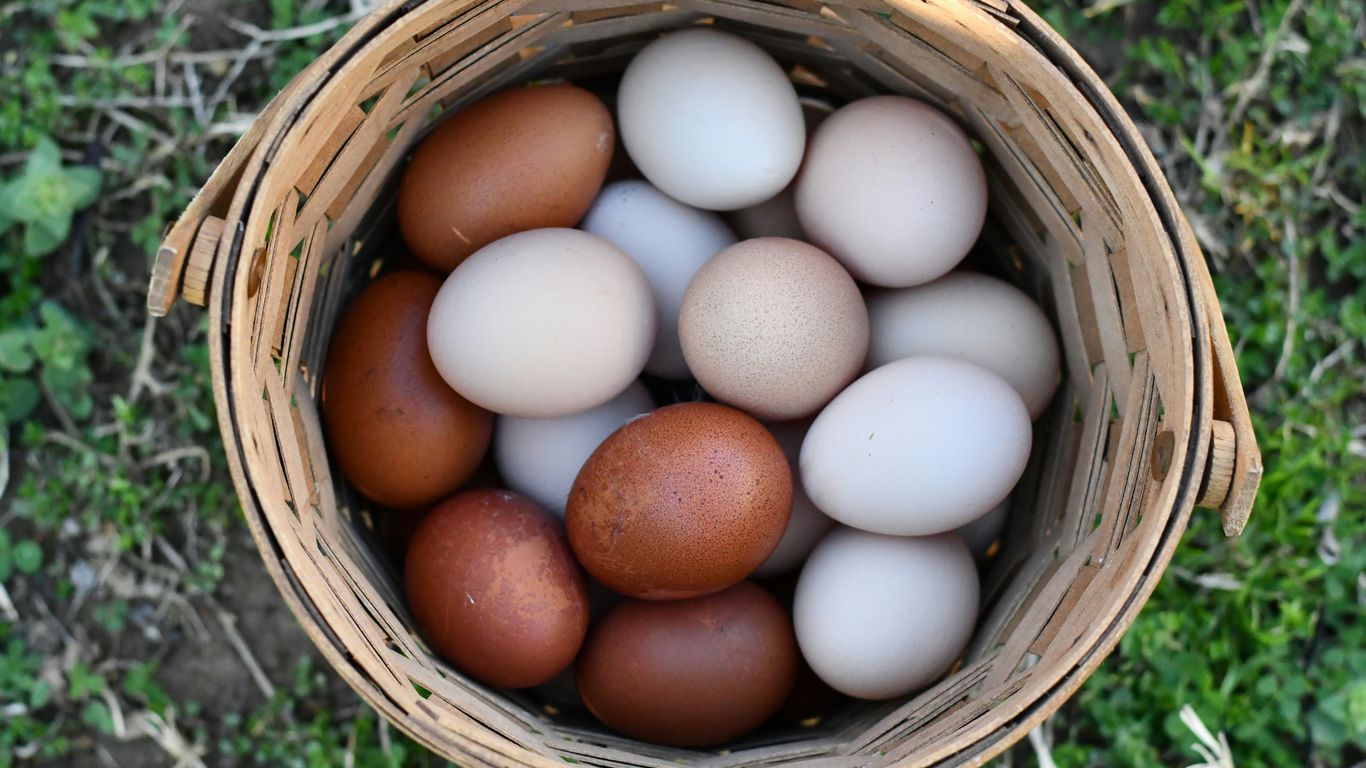 a basket of eggs