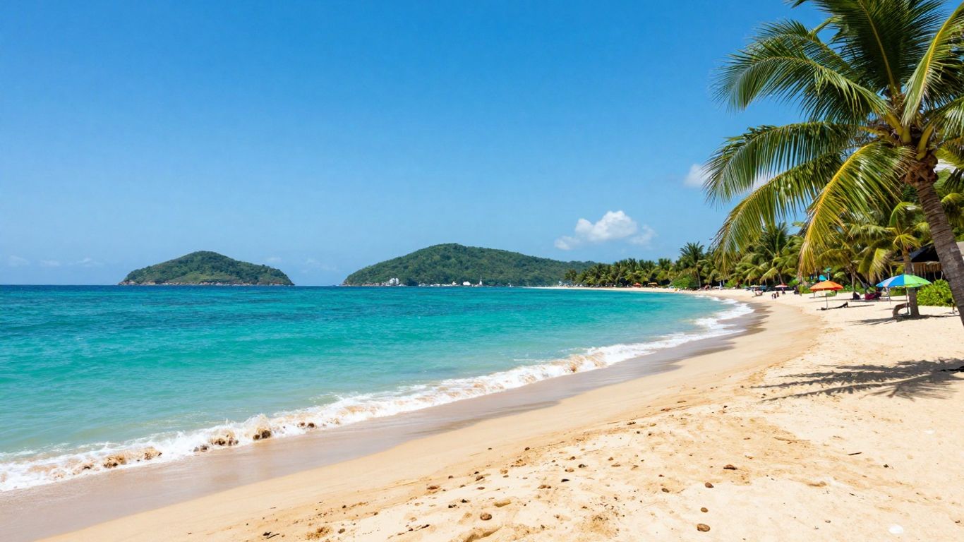 Sunny beach with palm trees and clear blue water.