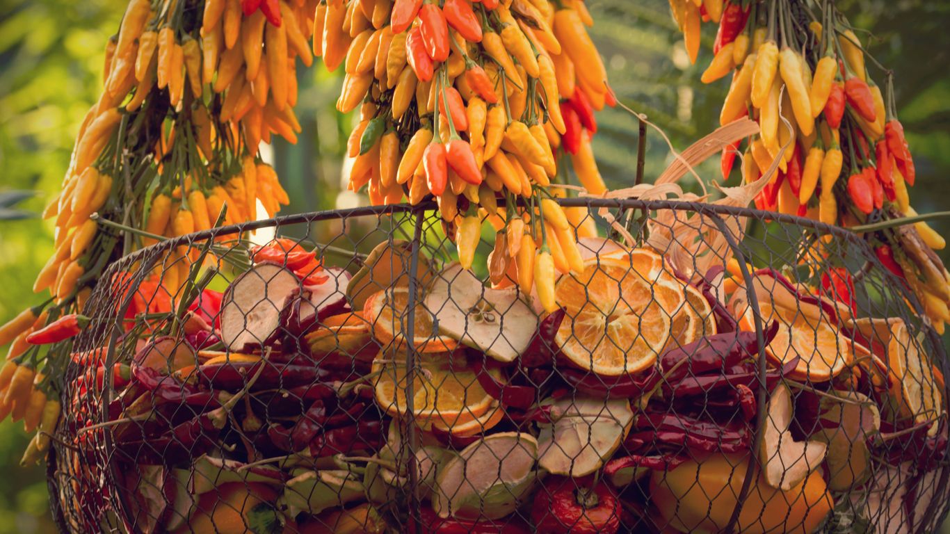 a basket full of oranges and bananas hanging from a tree
