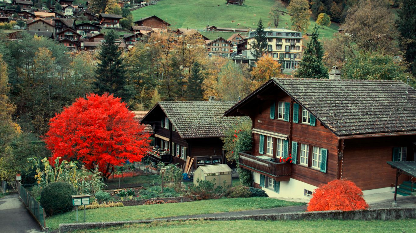 A red tree is in front of a house