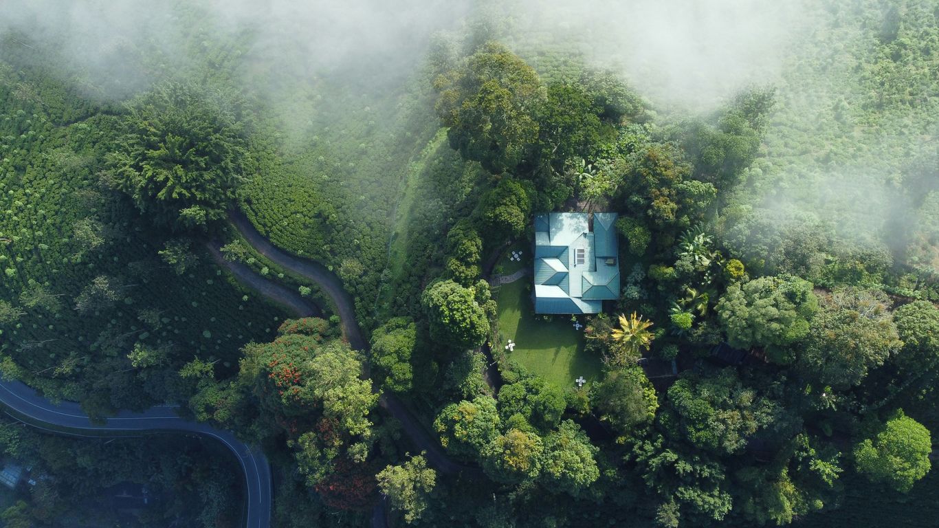an aerial view of a house in the middle of a forest