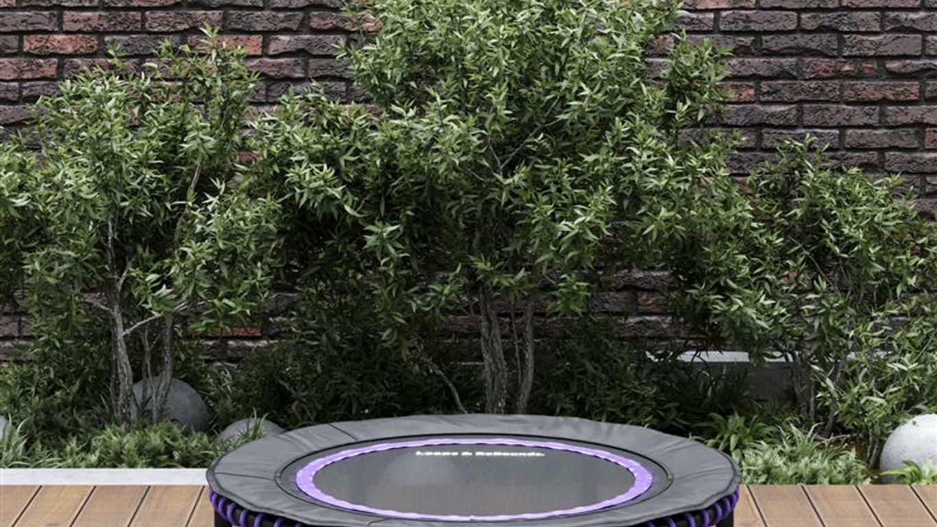 Small trampoline on wooden deck, brick wall and bushes behind.