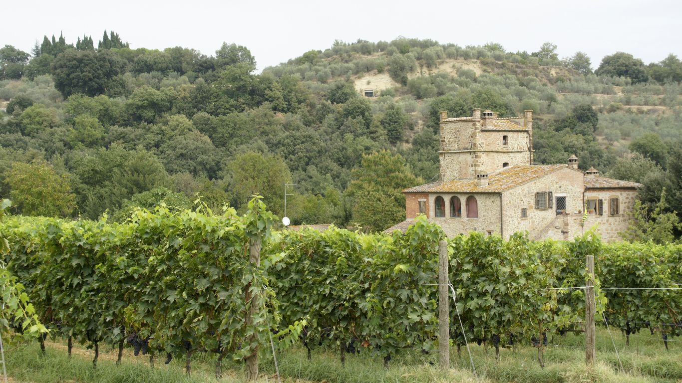 An old building in the middle of a vineyard