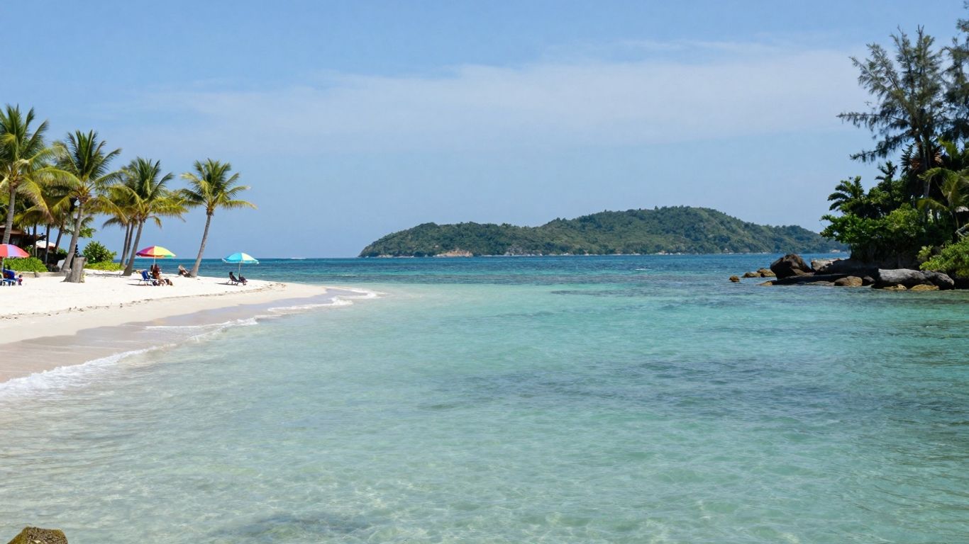 Tropical beach with clear water and palm trees.