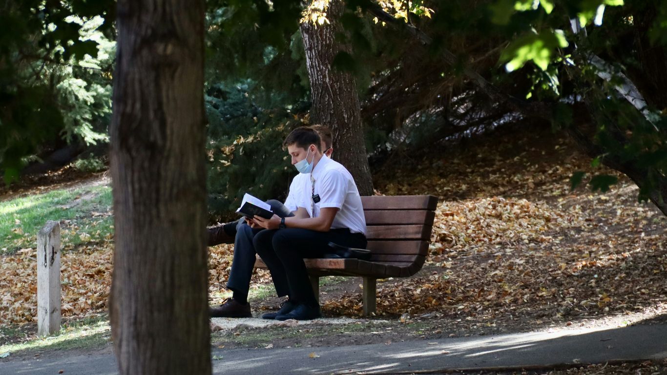 man in pink dress shirt sitting on brown wooden bench reading book