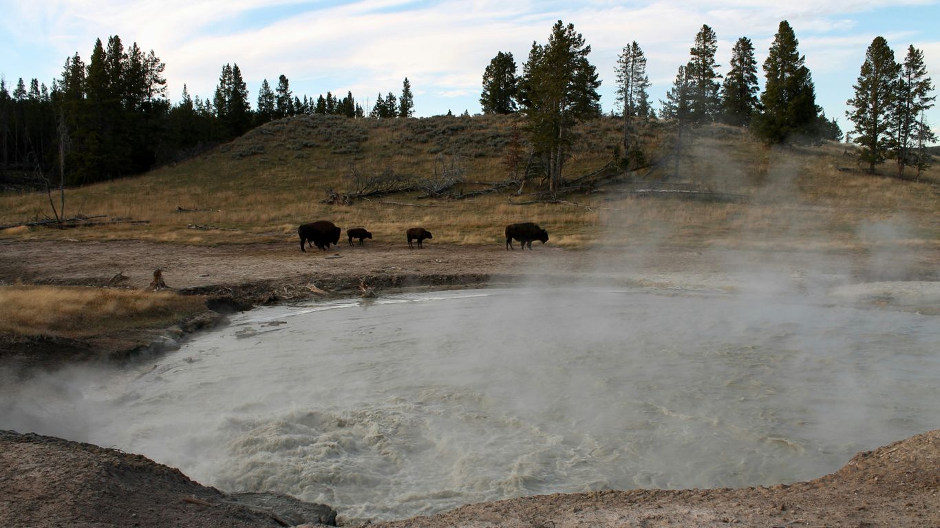 green trees and brown grass field during daytime