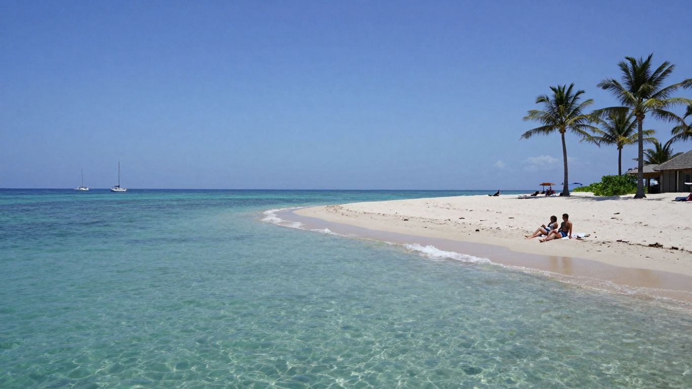 Sunny beach with palm trees and calm ocean waves.
