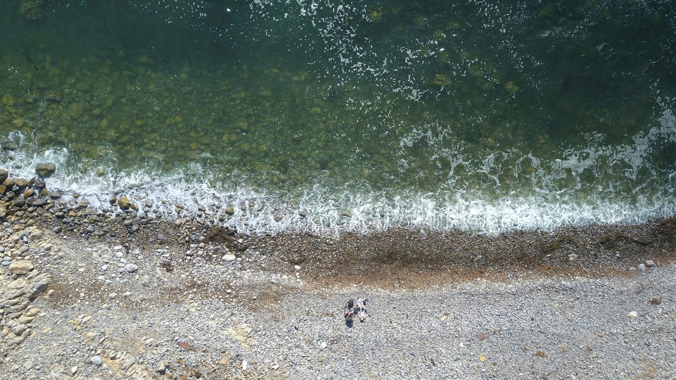 people on beach during daytime