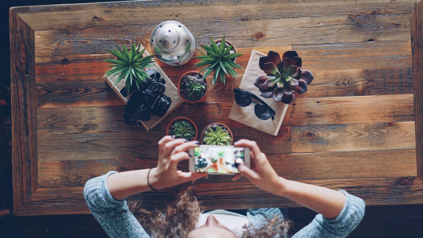 Hands holding smartphone photographing potted plants on table
