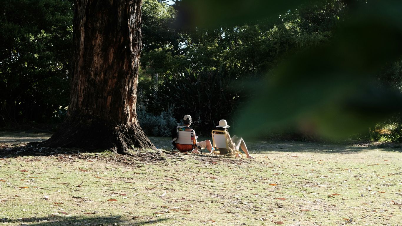 Two people relaxing under a large tree in a park.