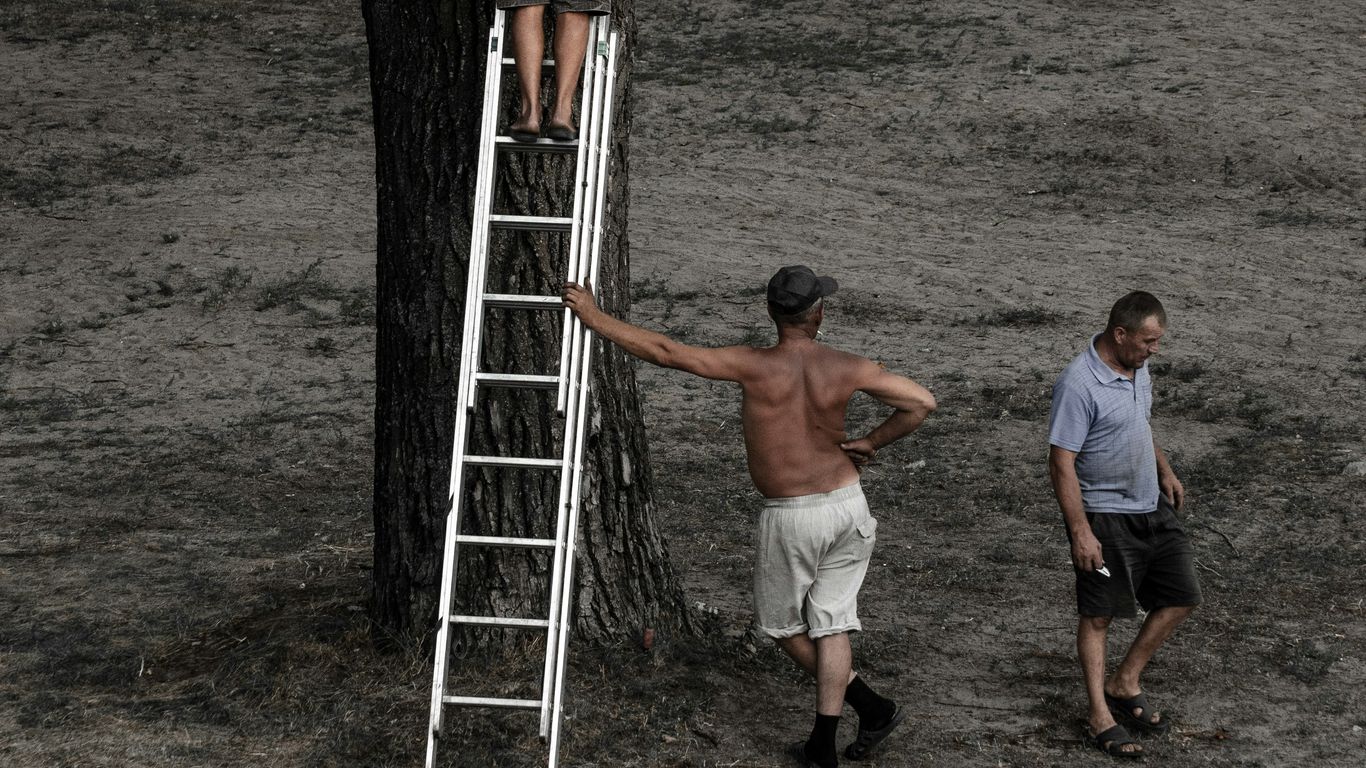 man in white shorts climbing on ladder