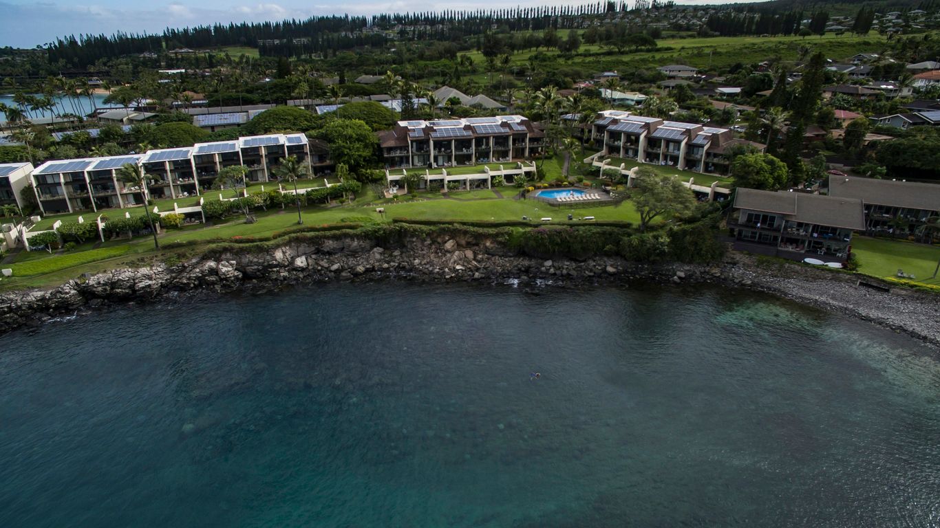 a body of water with buildings and trees around it