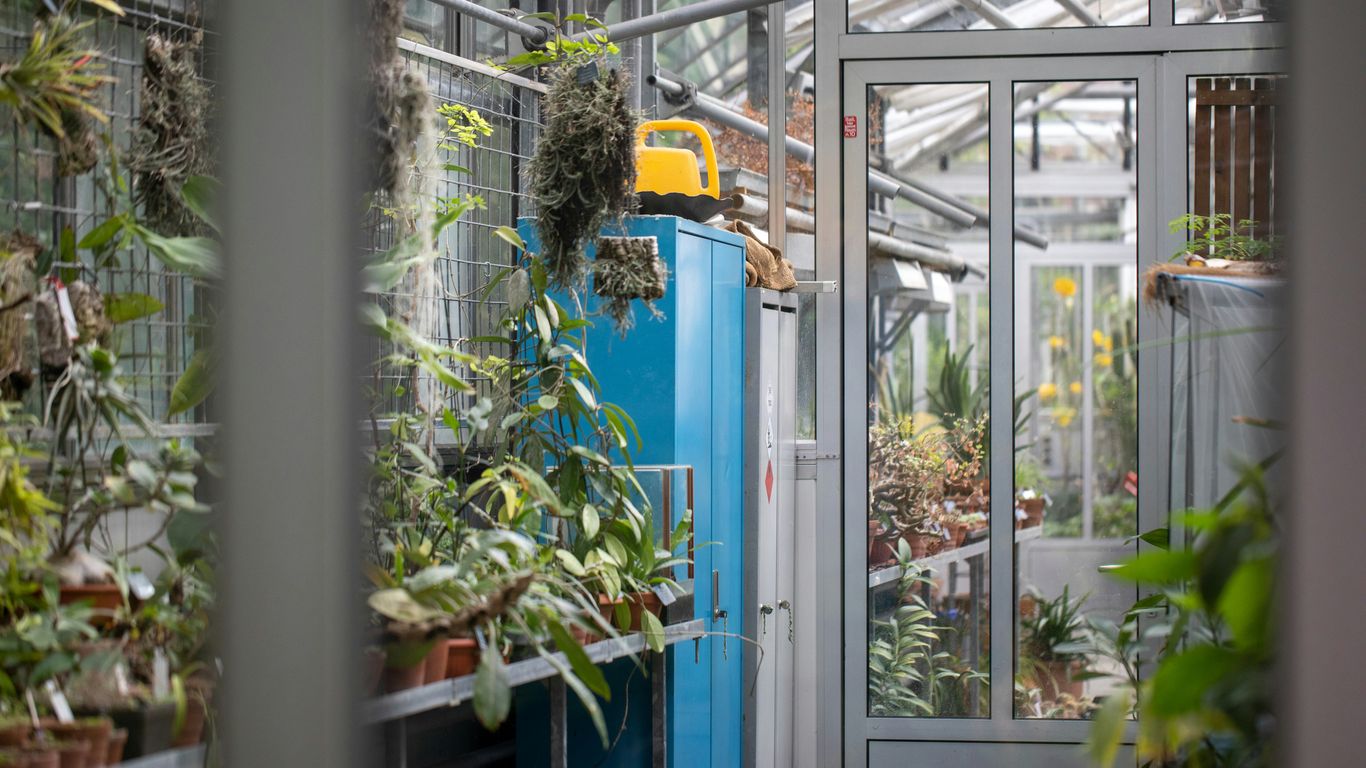 a blue refrigerator covered in plants in a greenhouse
