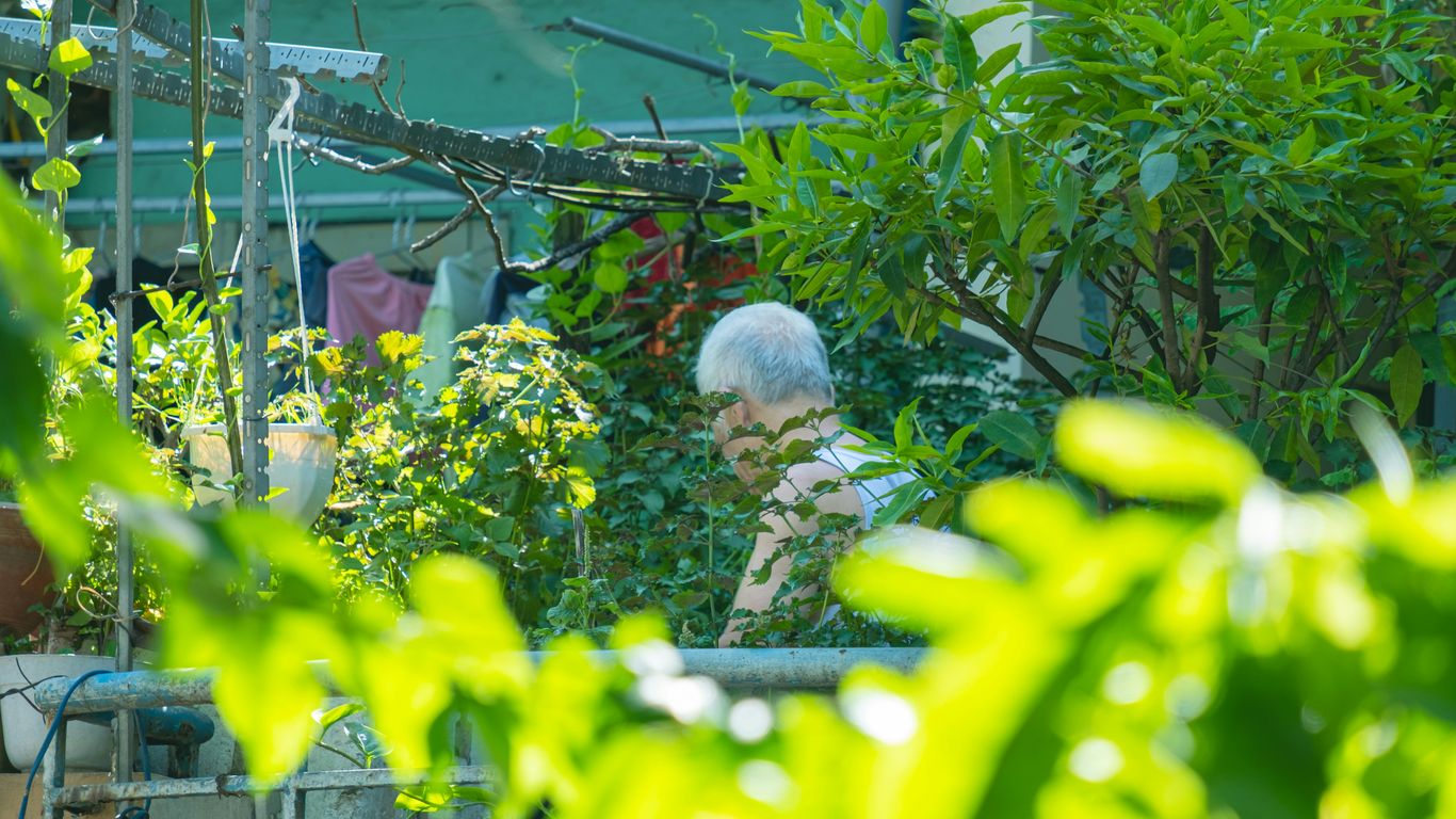 a person in a greenhouse