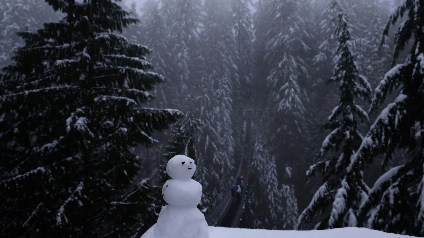 snowman on snow covered ground near trees during daytime