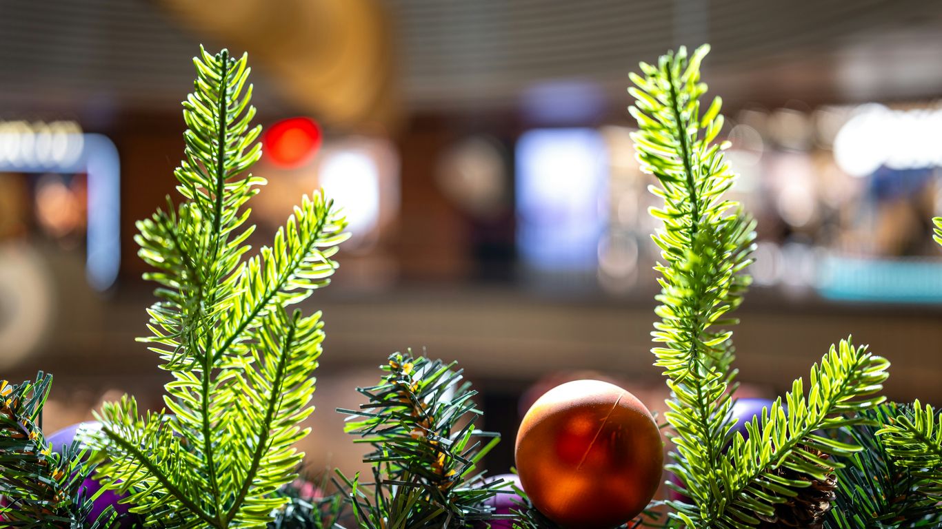 A close up of a plant with a ball in the background