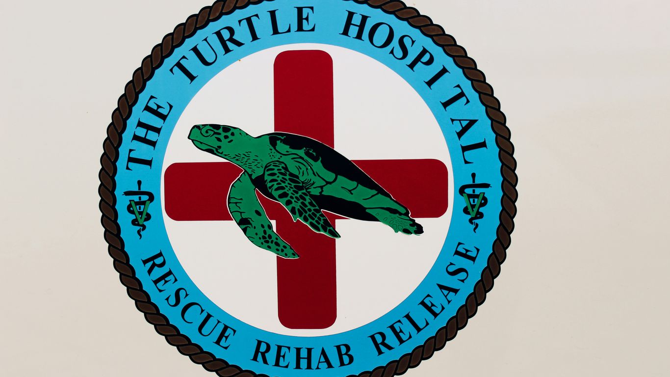 a turtle hospital sign with a red cross on it