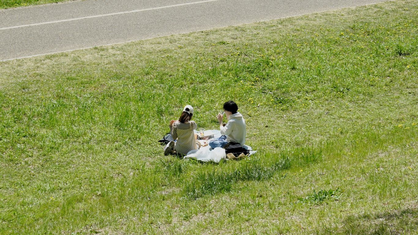 Couple enjoys a picnic in the grass.