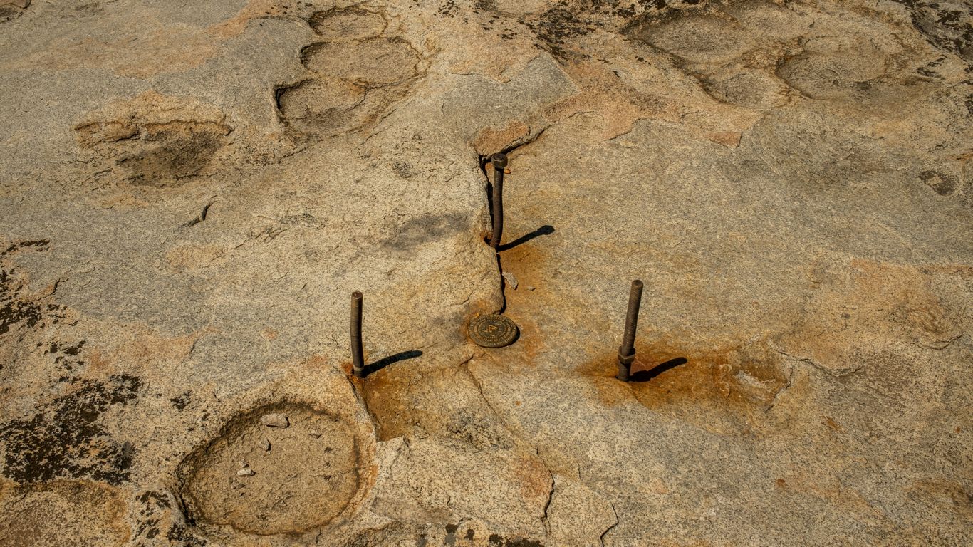 a few small objects on a surface
