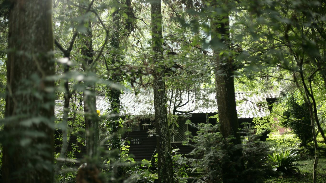 A cabin in the woods surrounded by trees