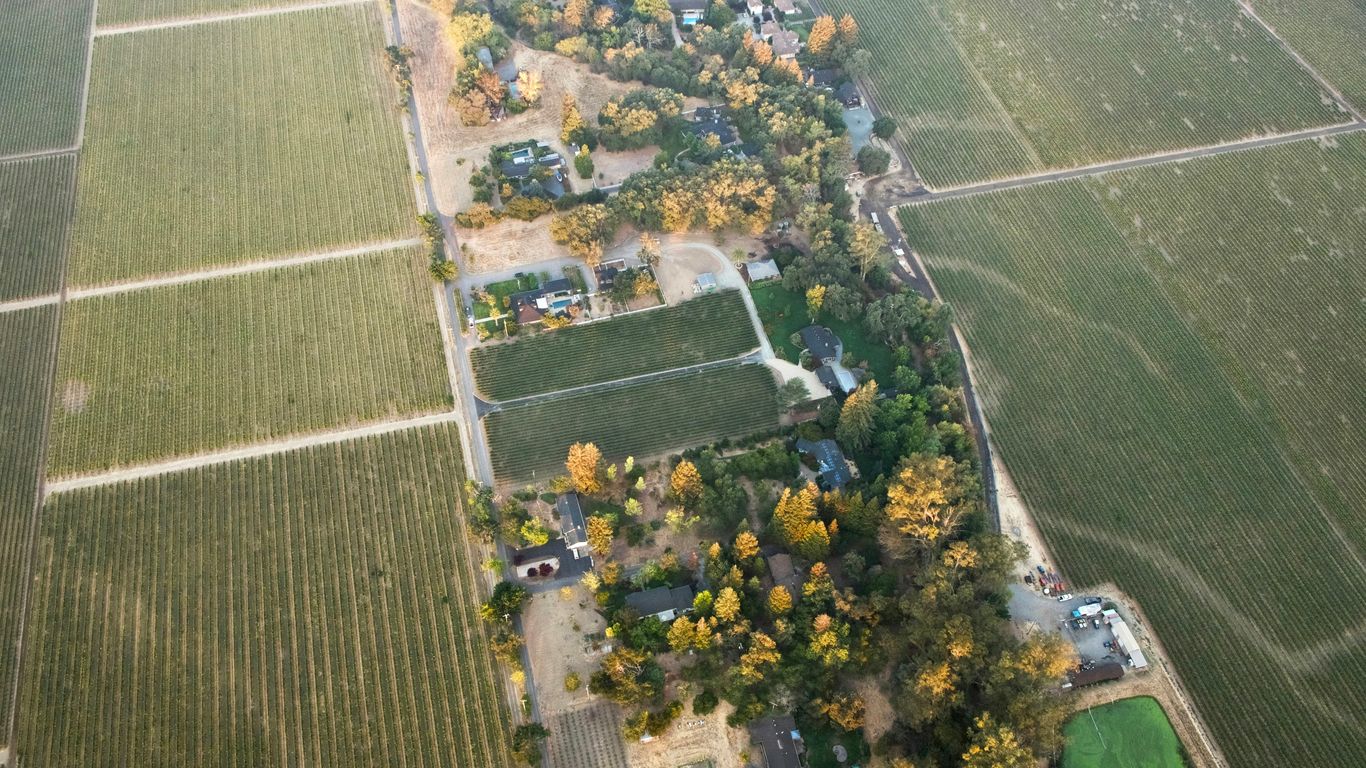 aerial view of green grass field