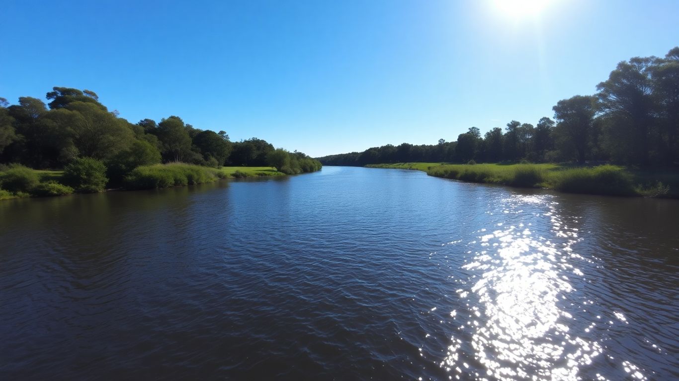 Australian river landscape with trees and clear sky.