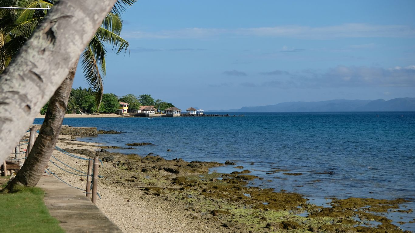 A view of a beach with palm trees and the ocean in the background