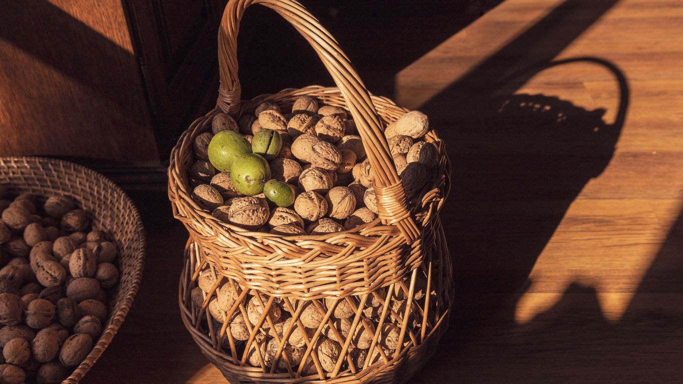 Basket of walnuts with a few green apples.