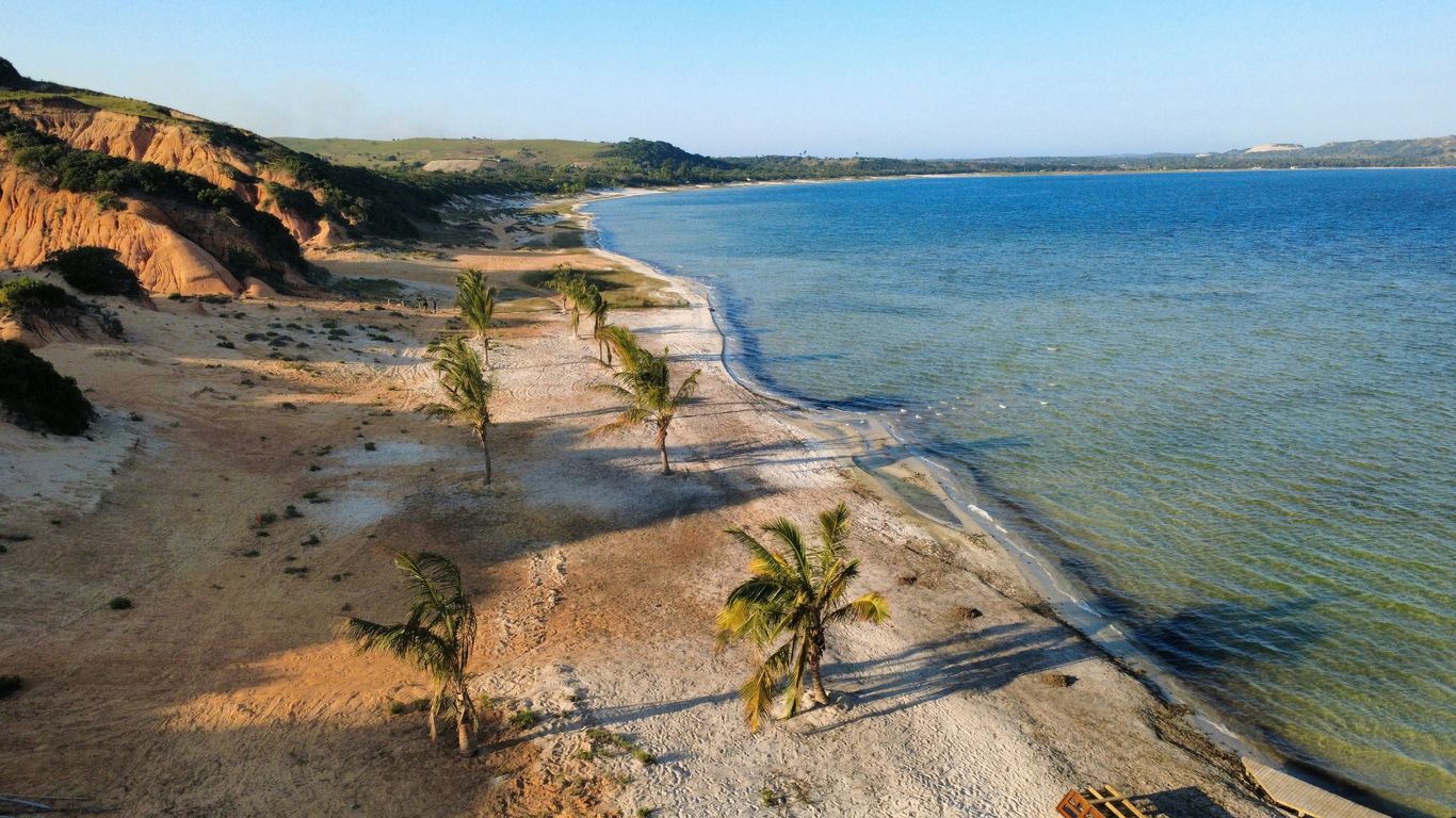 Palm trees dot a beautiful beach scene.