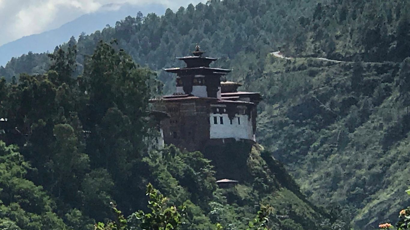 brown concrete building on top of green trees during daytime