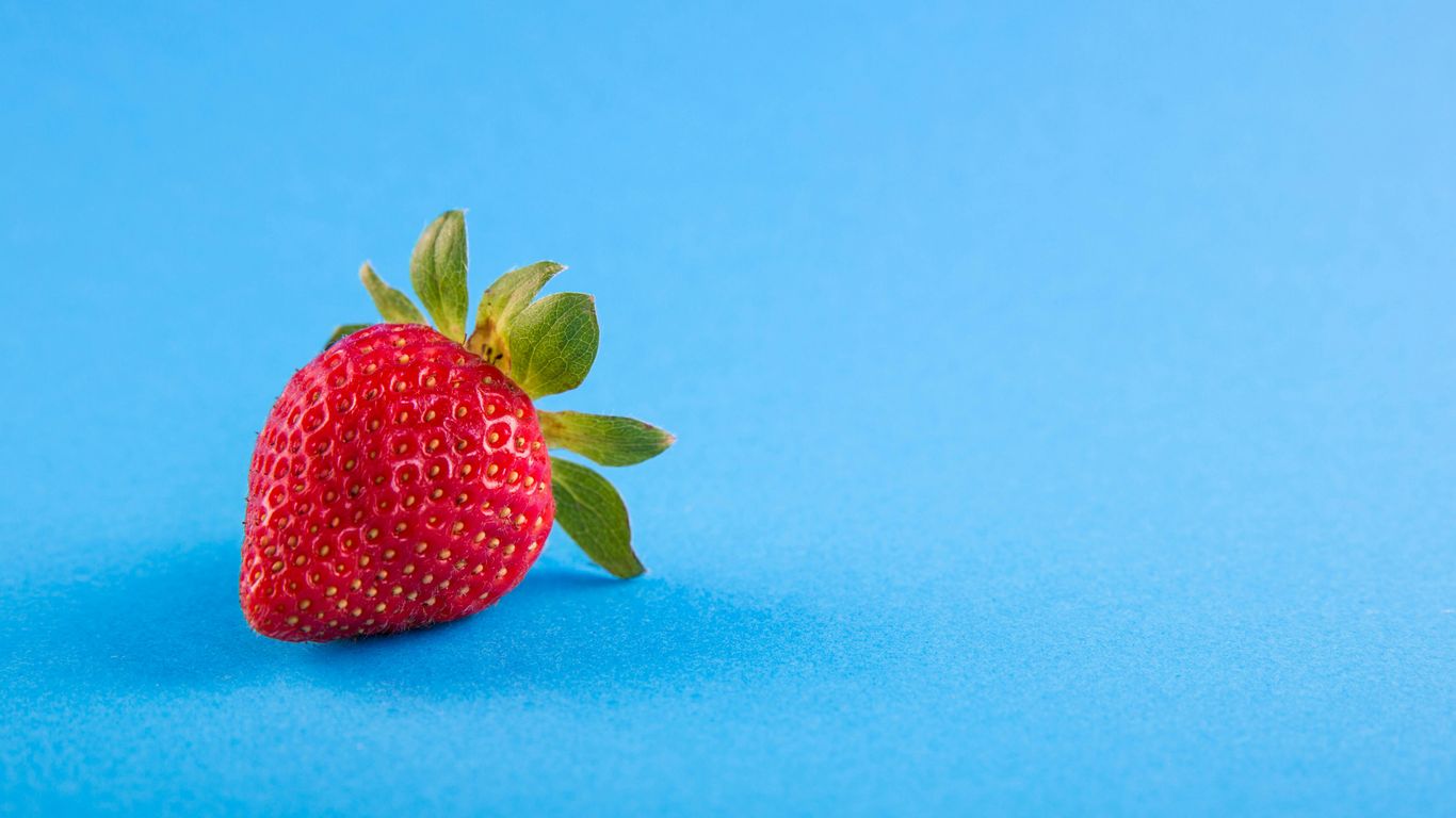 A single strawberry on a bright blue background, simple composition.