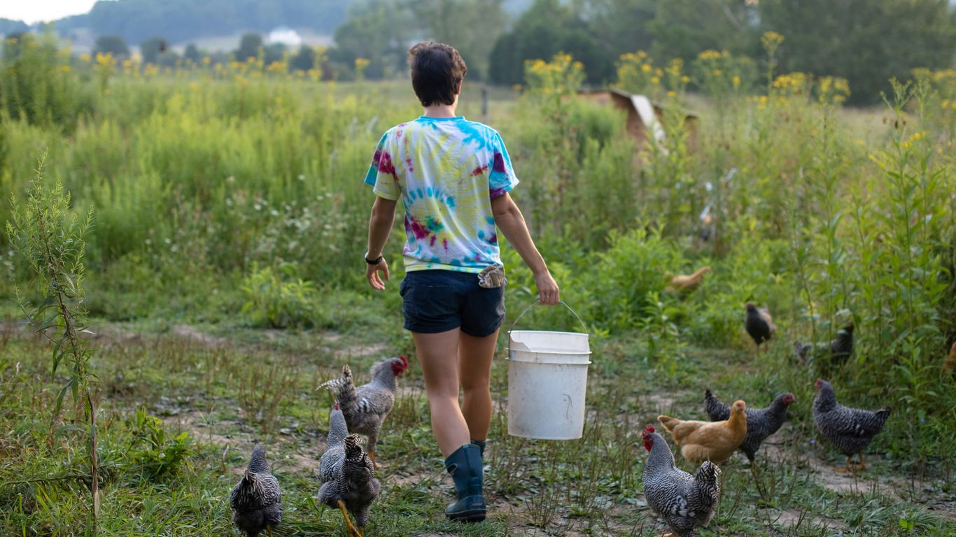 boy in blue t-shirt and blue shorts standing on green grass field during daytime