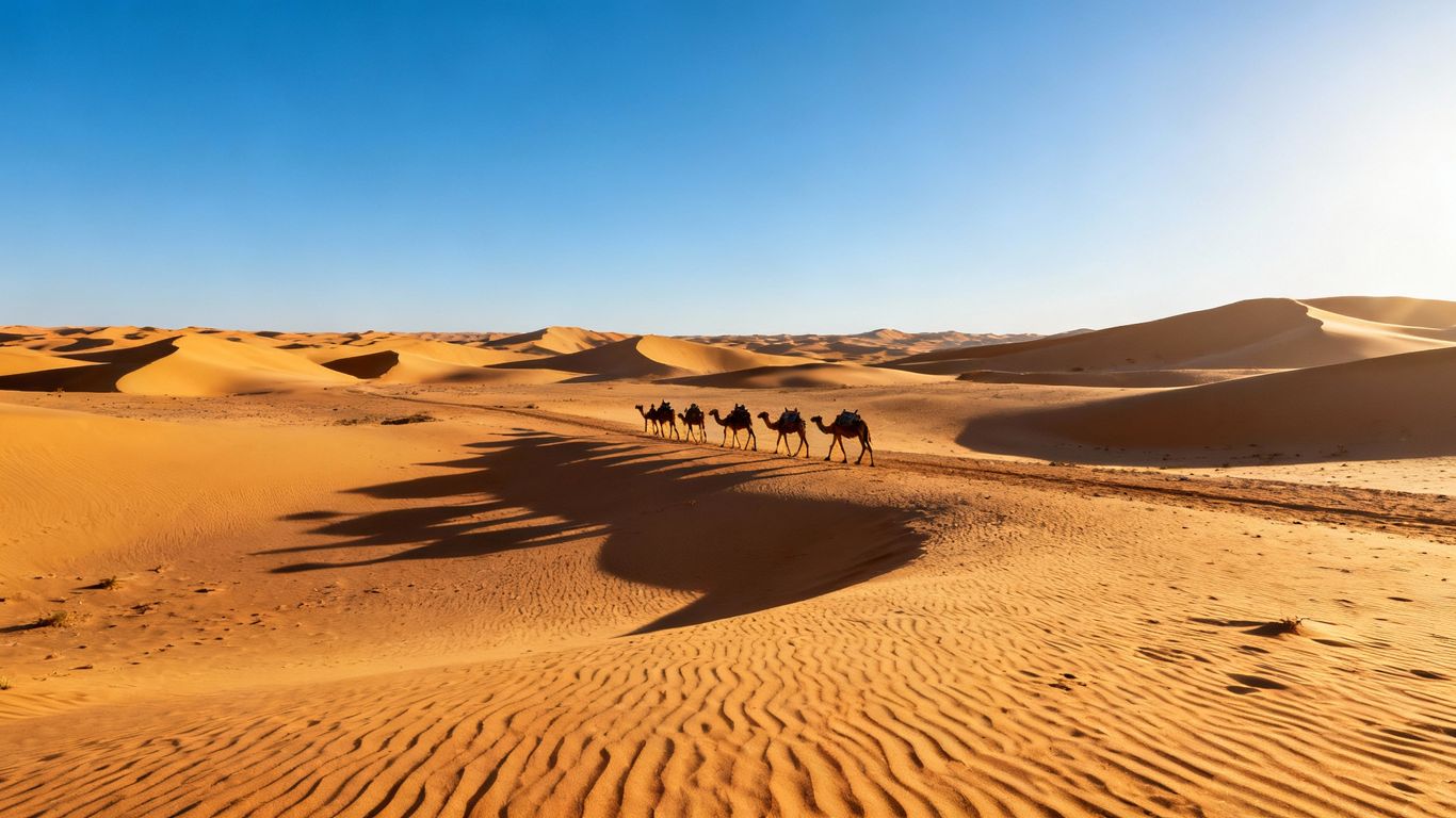 Moroccan Sahara Desert dunes with camels