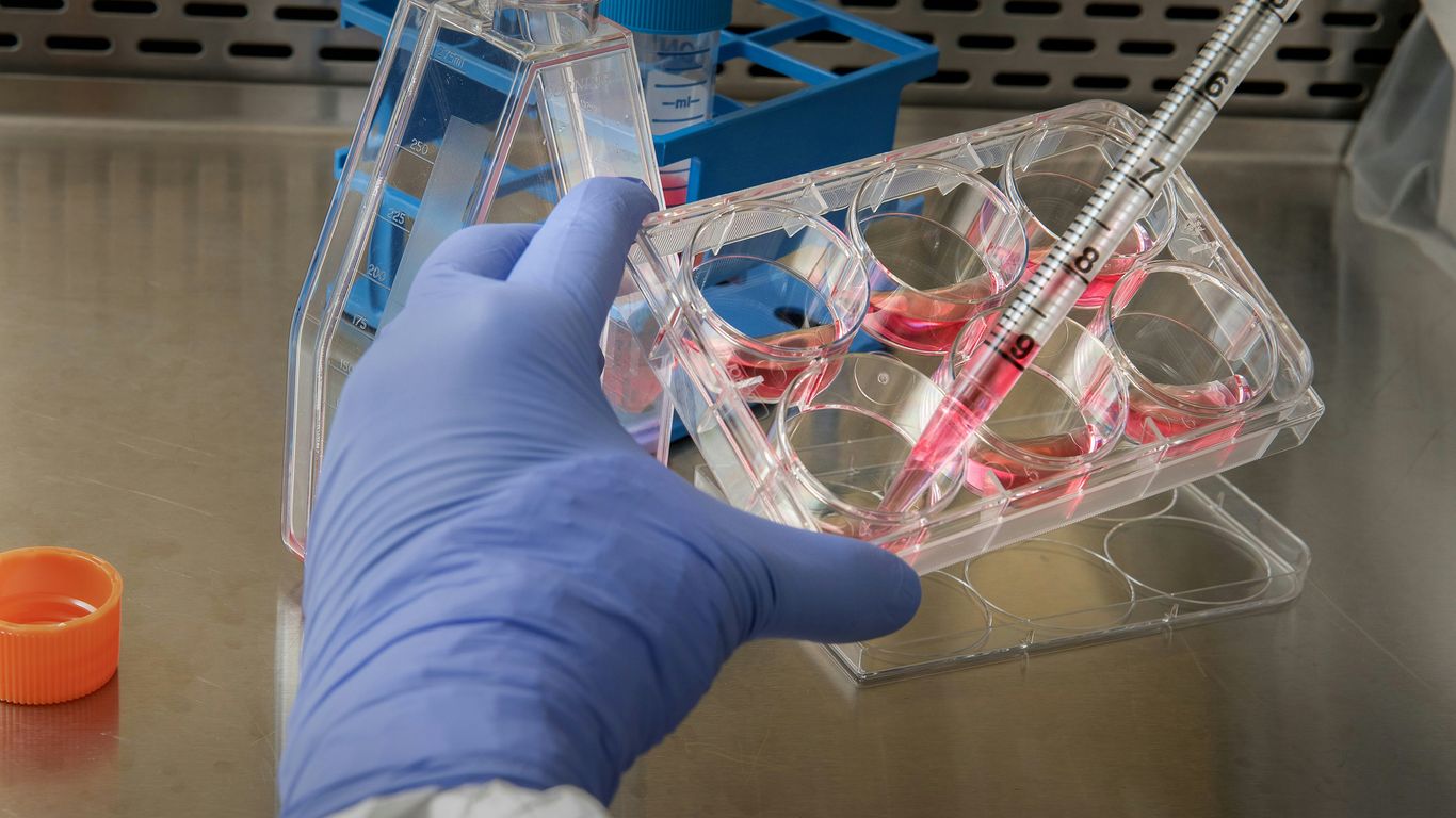 person holding syringe near container Who Gene Therapy Is Not For in Sickle Cell Disease