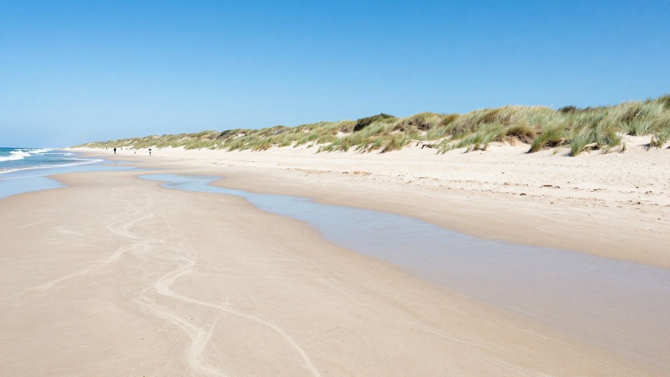 Sandy beach with dunes and ocean waves.