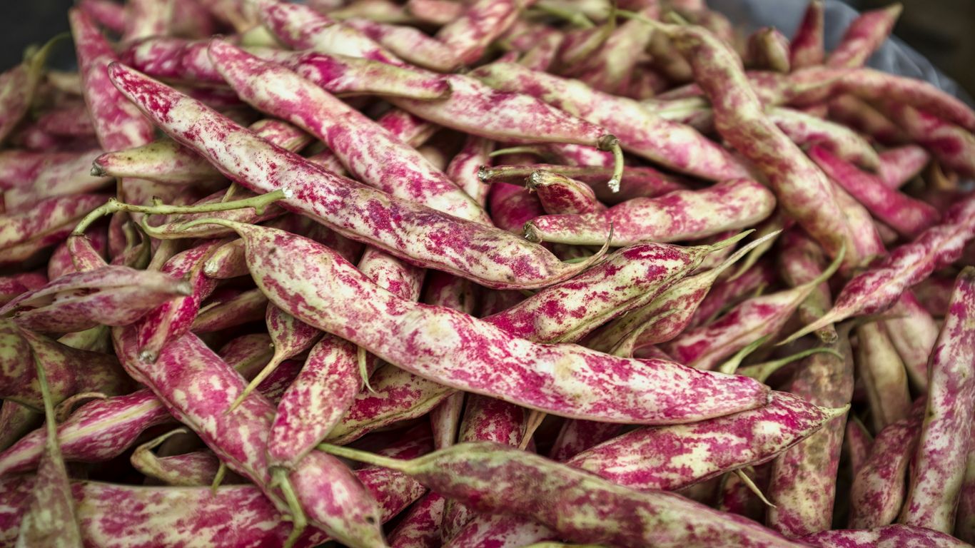 pink and white vegetable