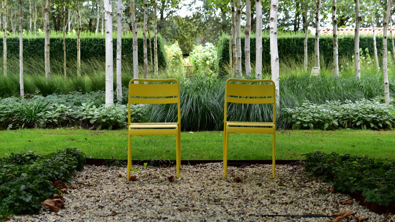 two yellow chairs in a garden