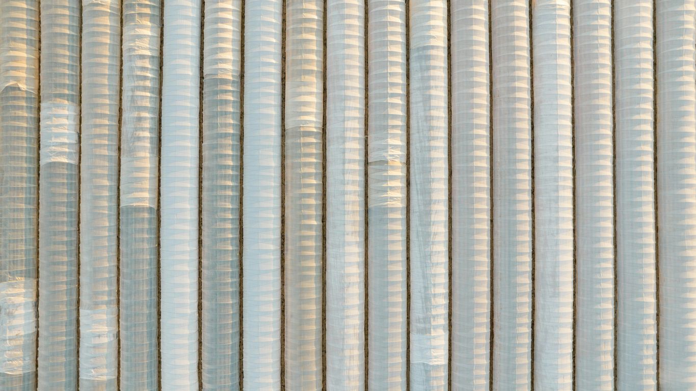 a bird sitting on top of a window sill
