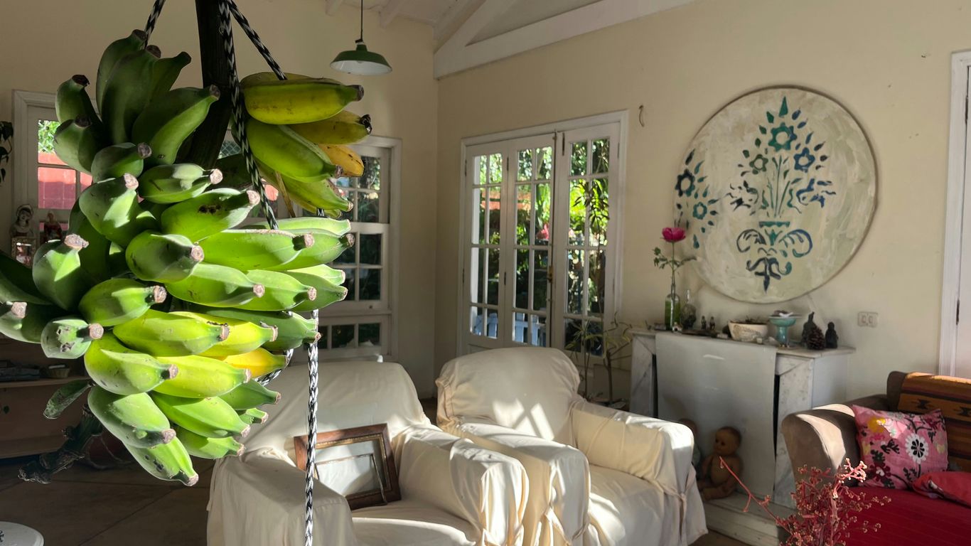 A living room with a bunch of bananas hanging from the ceiling