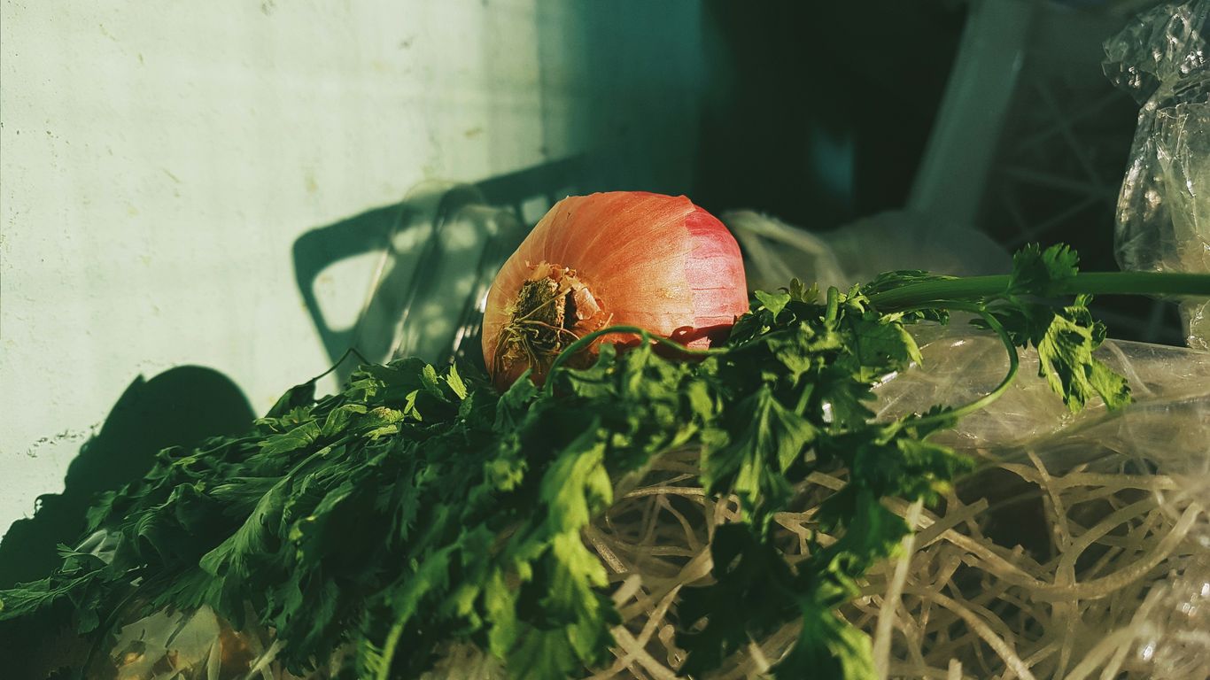 an onion