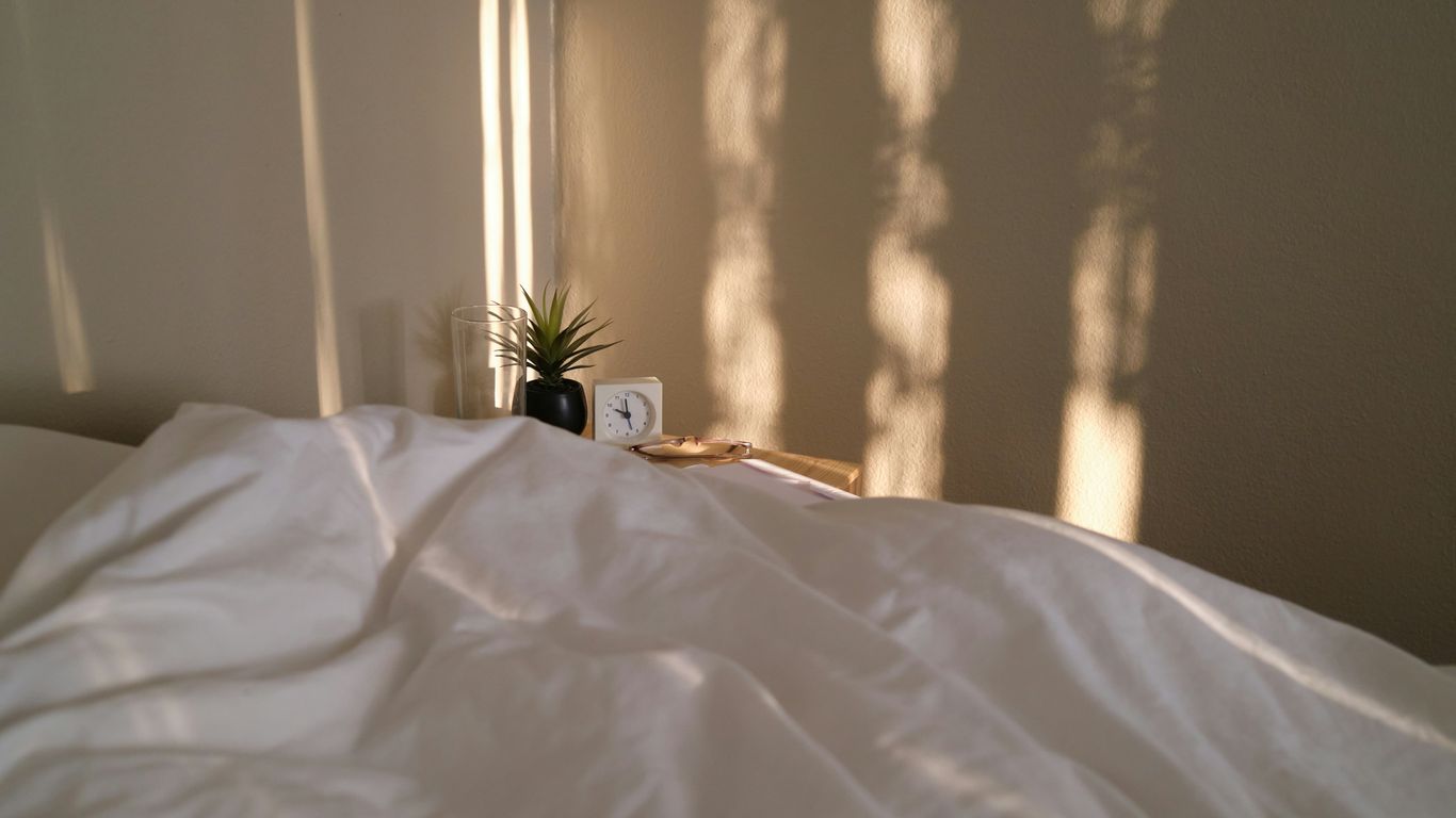 a bed with a white comforter and a plant on top of it