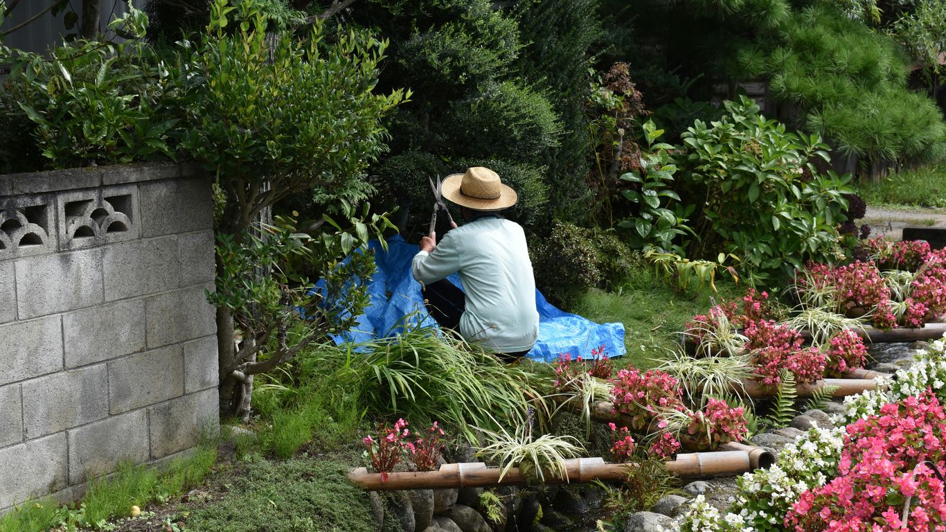 woman in blue shirt and brown hat sitting on green grass field