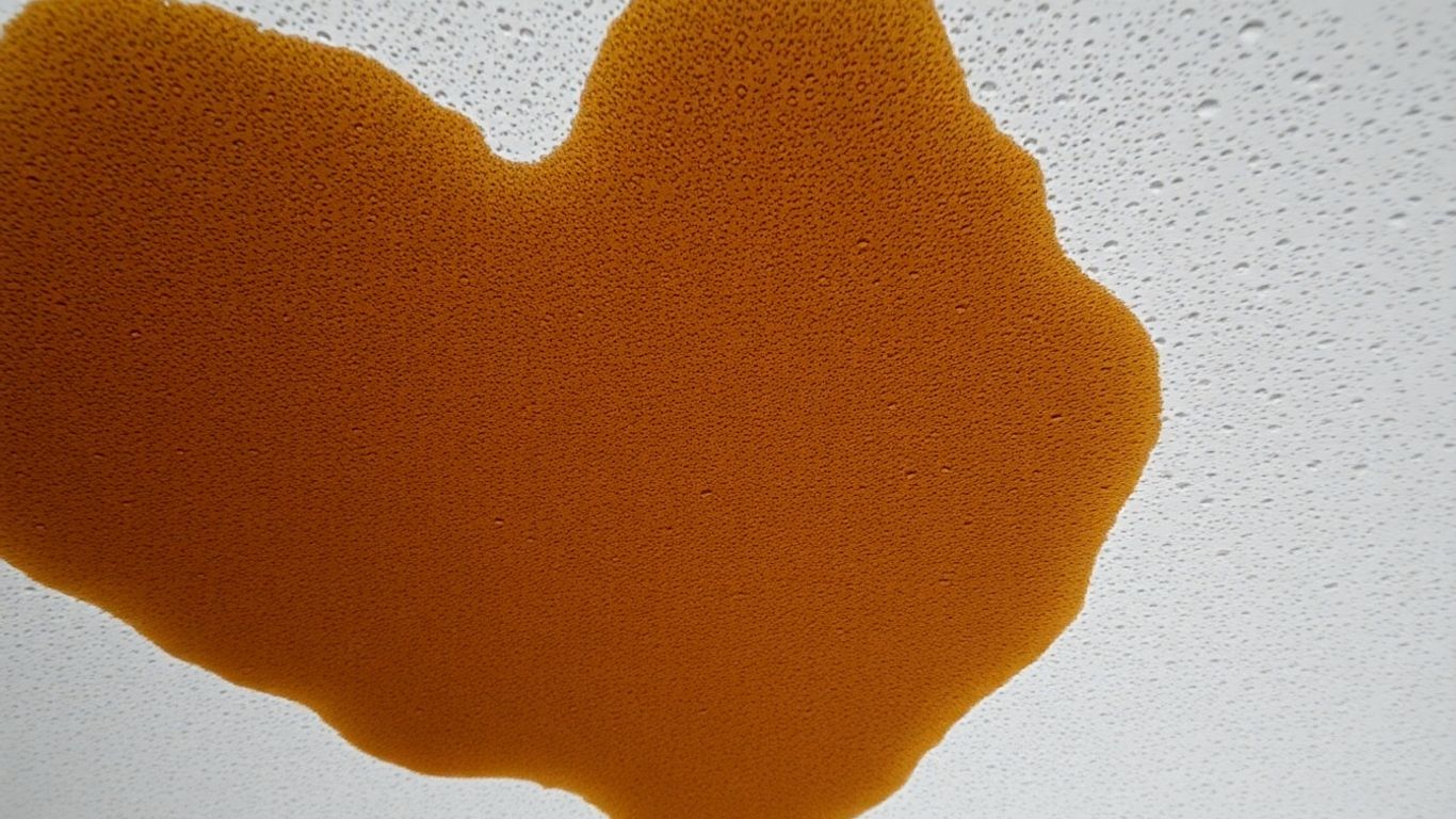 Ceiling water stain with visible droplets.