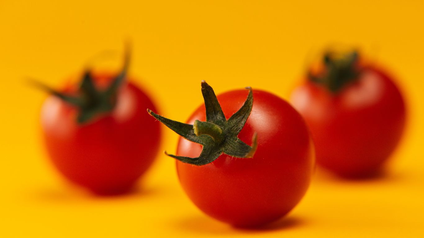 Three red tomatoes on a bright yellow background, close-up.